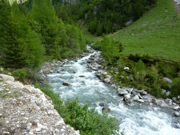 AppaBZ-AmbienteInforma-Newsletter-Rio-di-Vizze-1200x900 Torrente che scorre in valle; a destra e sinistra del torrente prati verdi ed alberi