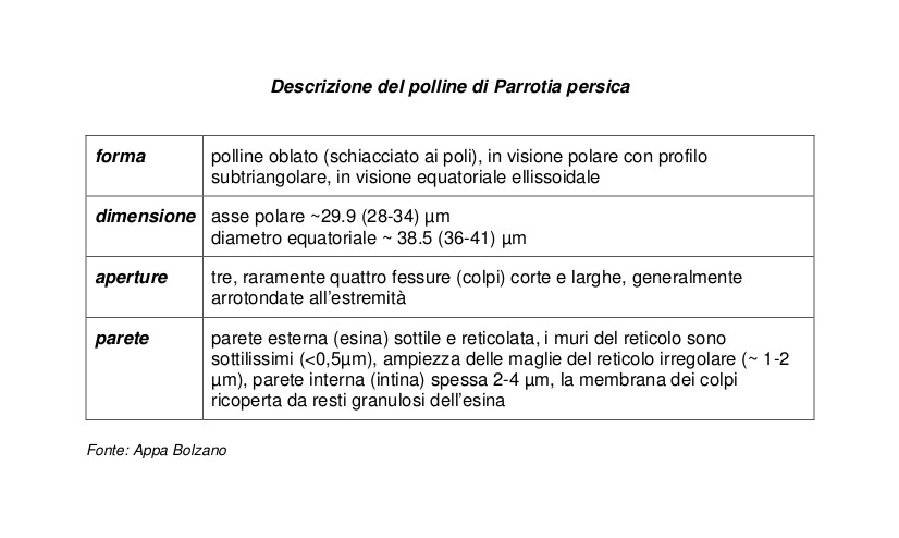 tabella con riportata la descrizione del polline di Parrotia persica (forma, dimensione, aperture e parete)