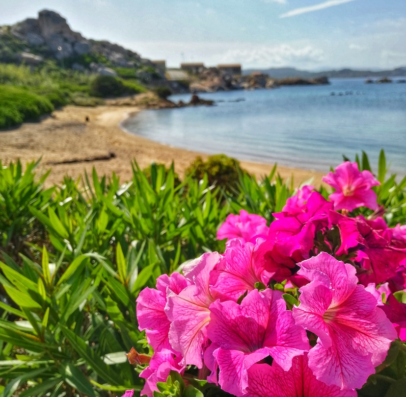 Arcipelago di la Maddalena