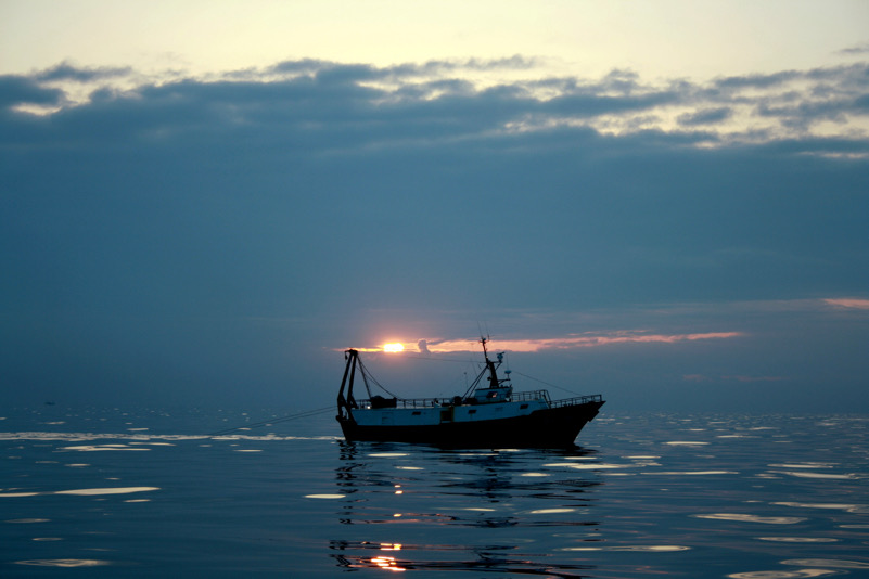 Un Adriatico che incanta