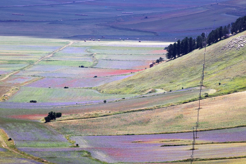 Castelluccio un mese prima della tragedia