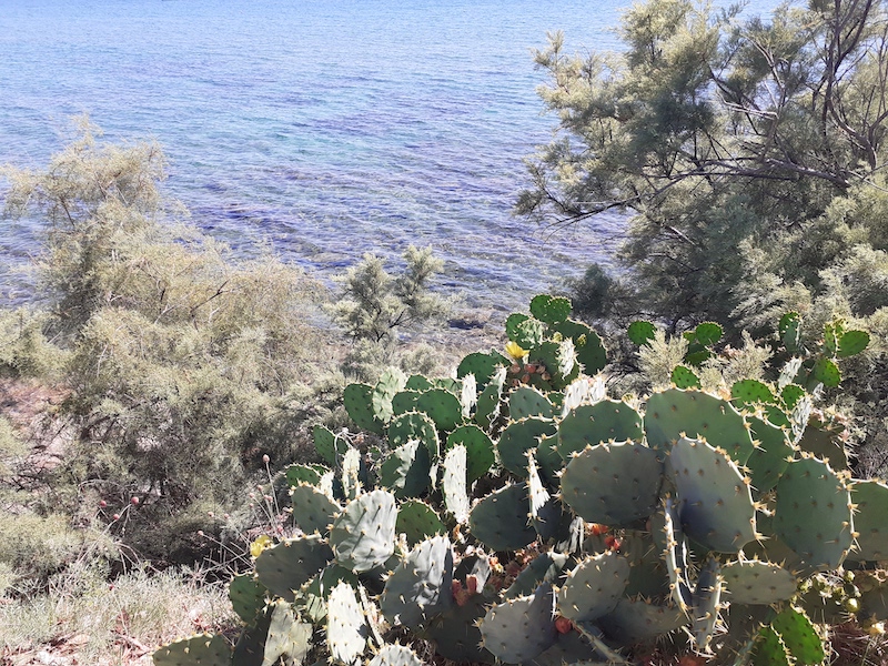 Le bellezze del Cilento