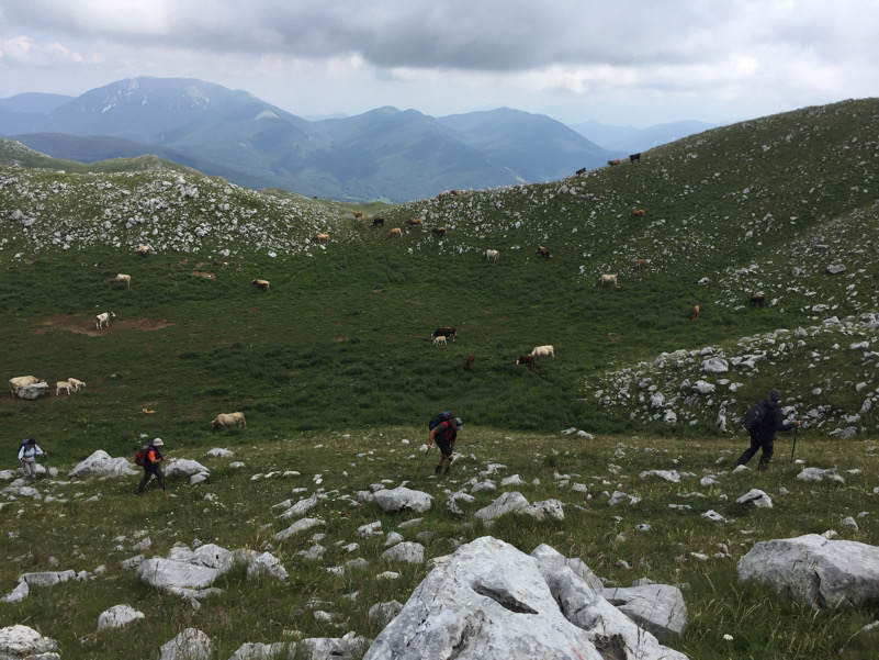 Molise_Parco_Nazionale_Matese_Biodiversità_Monte La Gallinola_San Polo Matese-CB