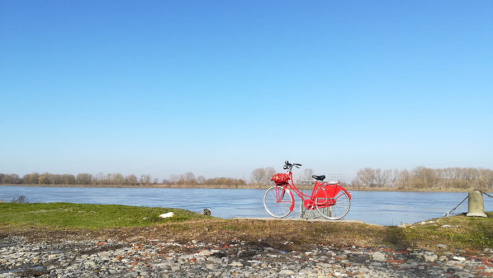 Un Po in bici