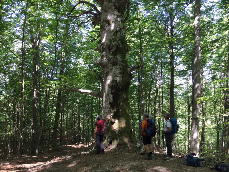 Molise _Parco Nazionale Matese_Biodiversità_Tre frati_Guardiaregia_CB