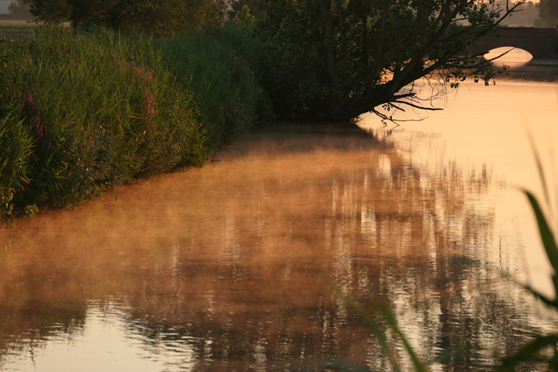 smoke on the water