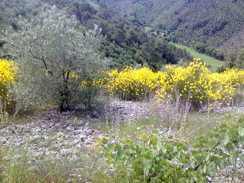 scorcio della Valnerina (Terni)