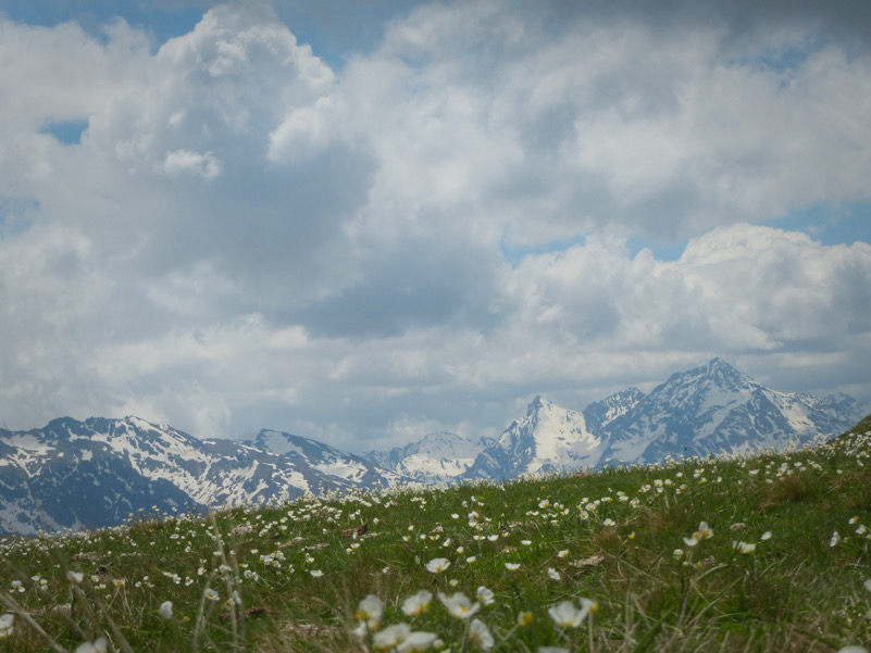 il bianco dei monti (Val Chisone)