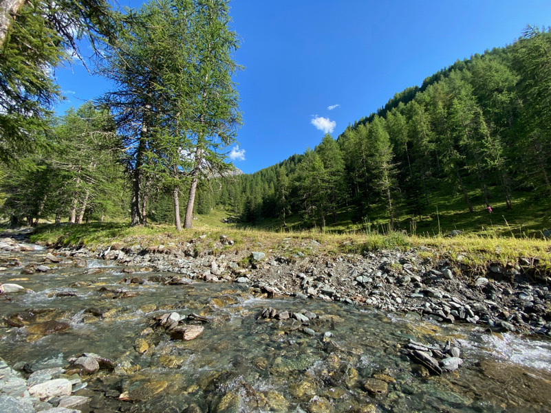 Torrente alpino in Val d’Ayas