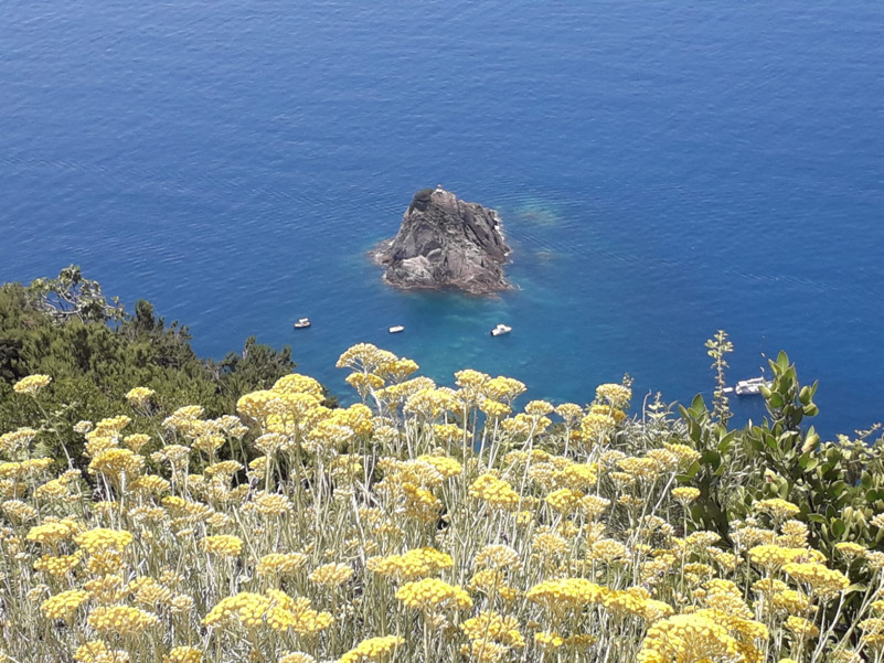 Una particolare quanto spettacolare primavera marina in lockdown vista dalle coste delle alture delle Cinque terre (SP)