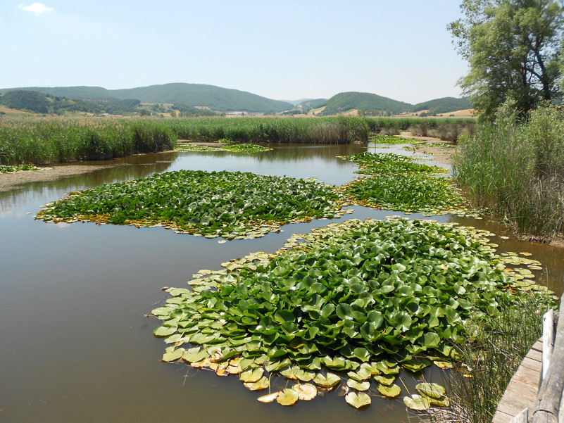 Piana di Colfiorito oasi naturalistica