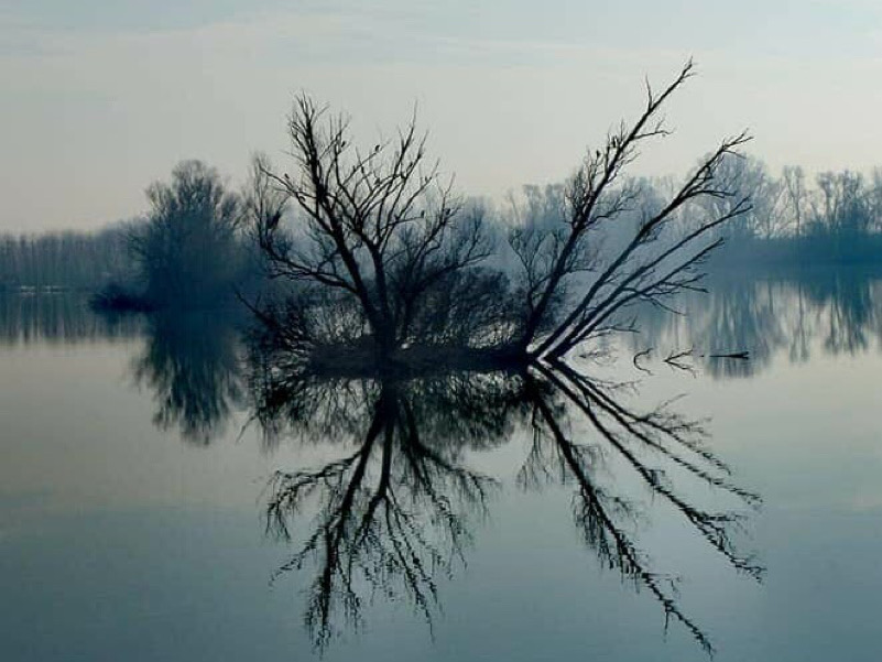 Il cielo capovolto - Lago superiore, Parco del Mincio