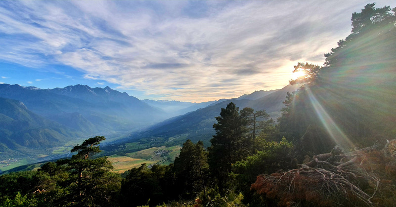 La pace della natura