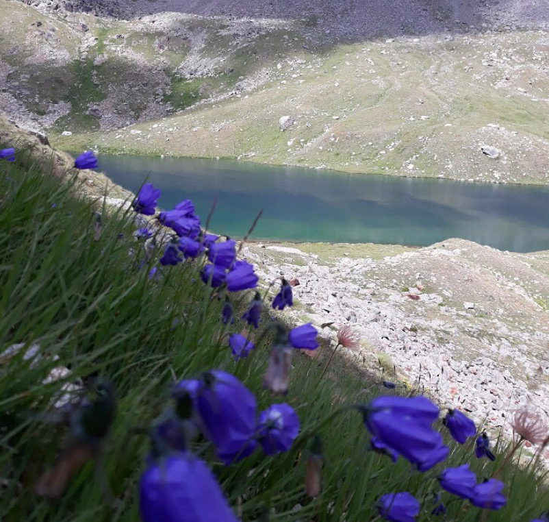 Laghi Lussert - Cogne