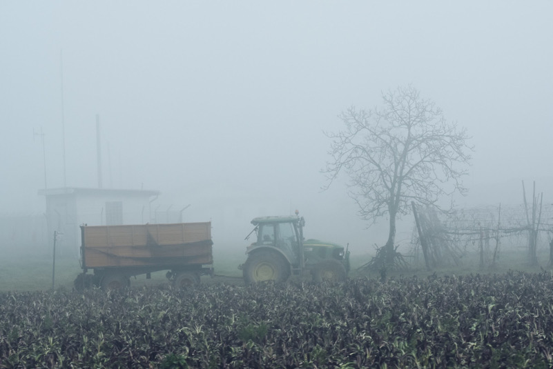 Lavorando con la nebbia