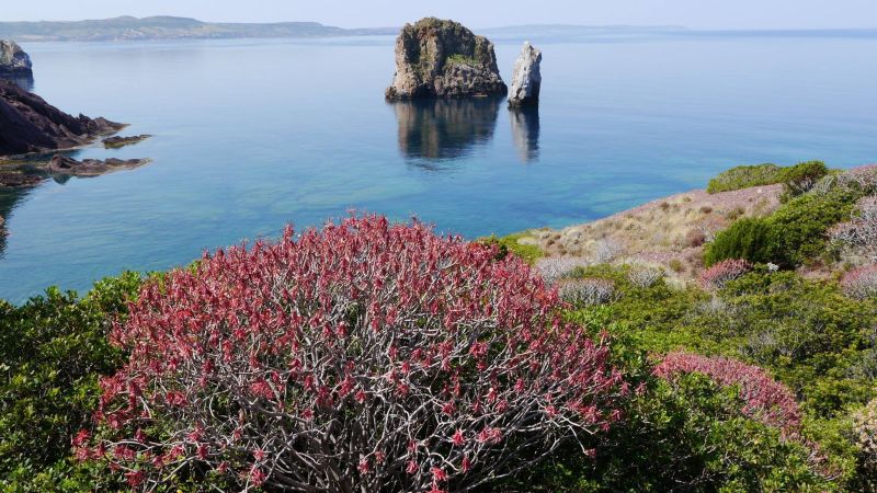 Portu Banda - Nebida, Frazione di Iglesias, scoglio S'Agusteri