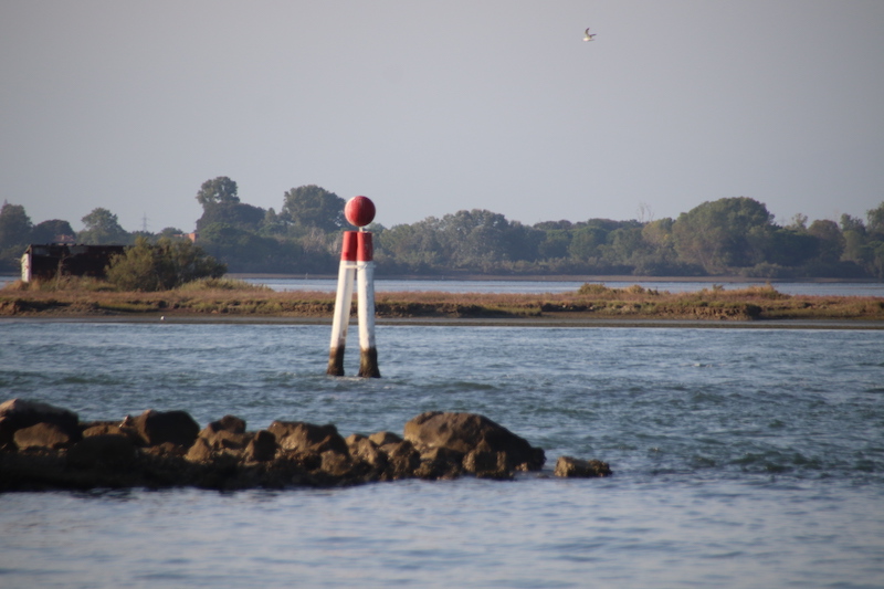 Laguna di Grado, Grado