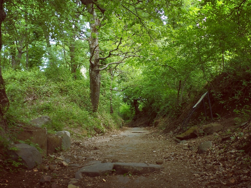 "Il luogo primitivo dell'anima"- Bosco del Tuscolo,Parco Regionale dei Castelli Romani