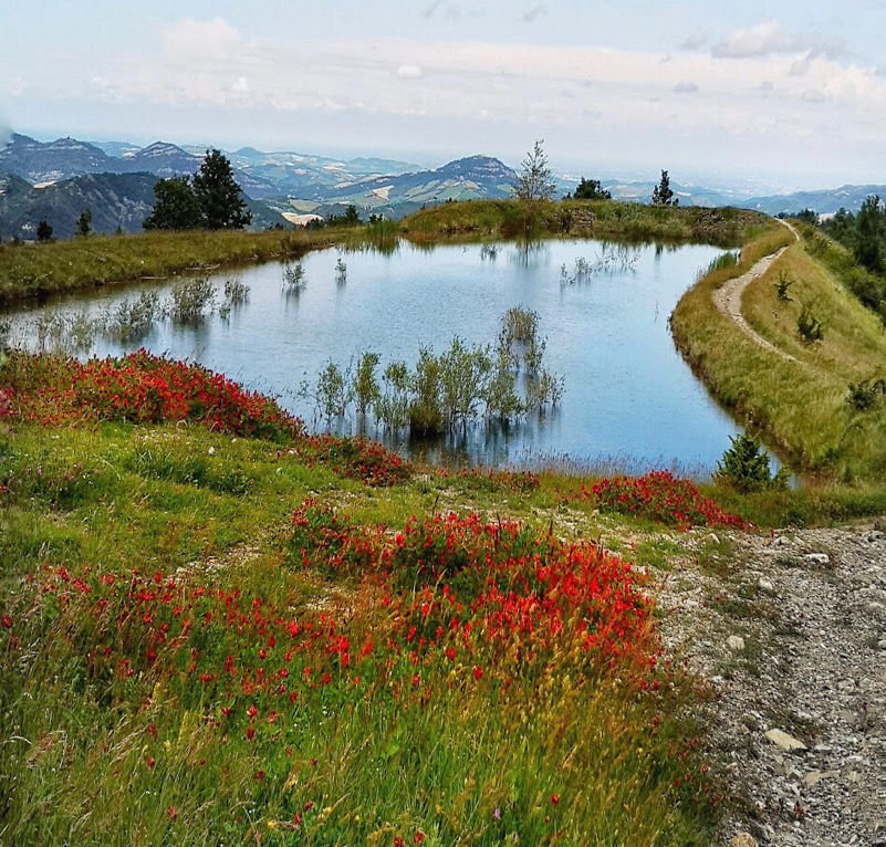 Non solo inquinamento, ancora tanta natura da mantenere per la nostra gioia