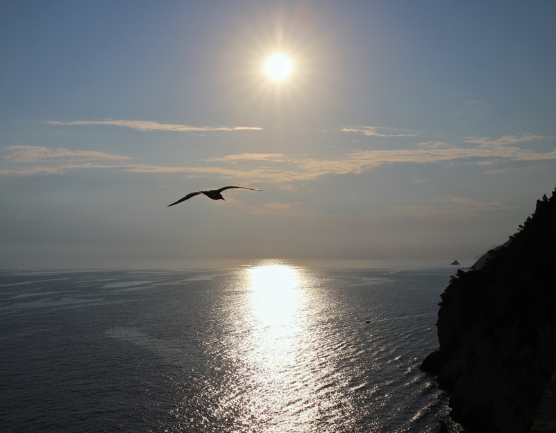 Volando controluce