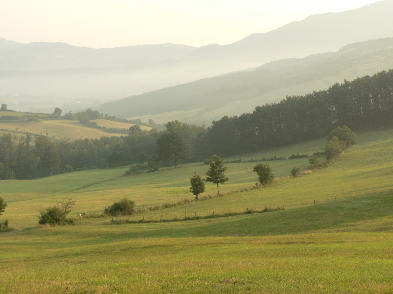 Paesaggio appenninico presso il passo della Futa (FI)