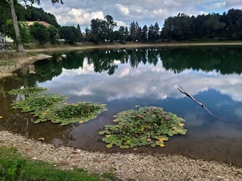 Riflessi biodiversi