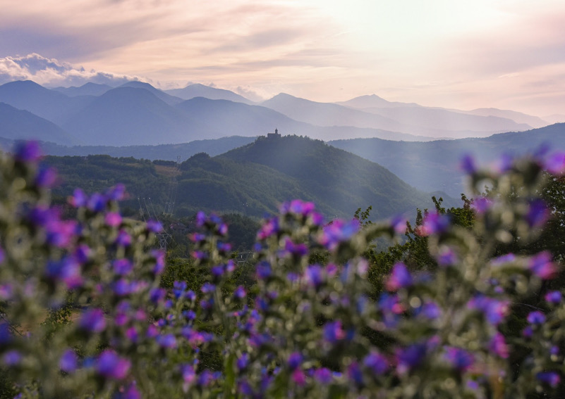 la vista da Bargi