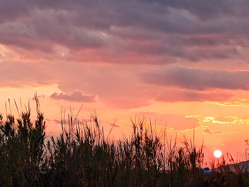 Cloudy sunset