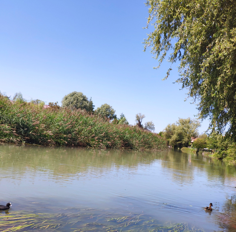 Sile a Quinto di Treviso