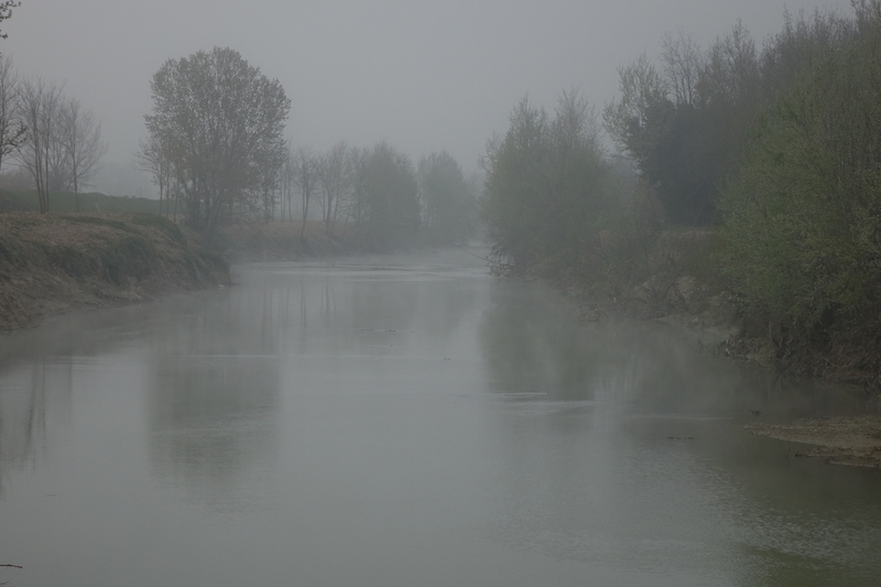 Nebbia primaverile sul fiume Elsa