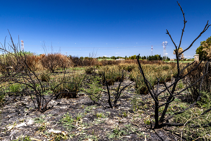 Ripresa dopo l'incendio