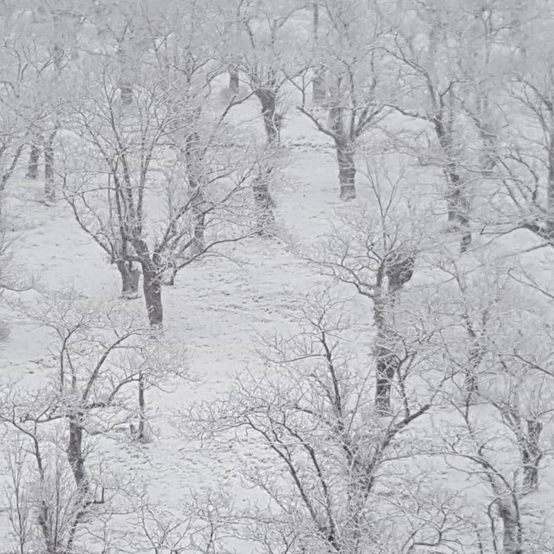 paesaggio innevato Sieti di Giffoni Sei Casali (Salerno)