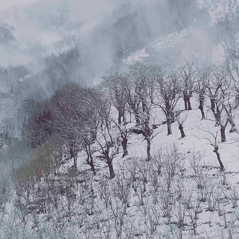 paesaggio innevato Sieti di Giffoni Sei Casali (Salerno)