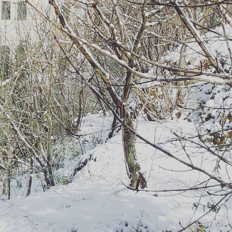 paesaggio innevato Sieti di Giffoni Sei Casali (Salerno)