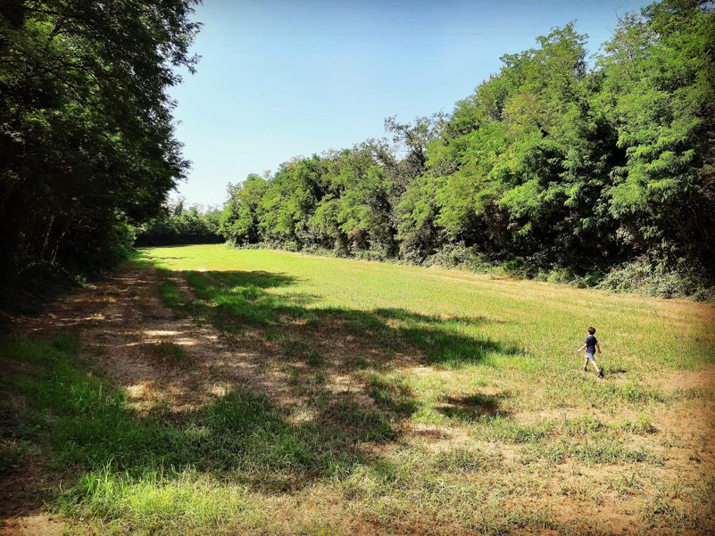 il Paleoalveo di Bernareggio (MB)