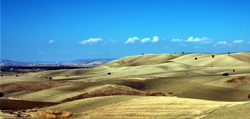 Campagna dorata