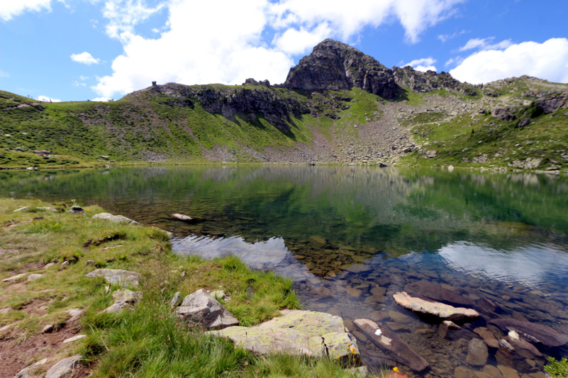 Narciso - Laghi di Bombasel (TN)