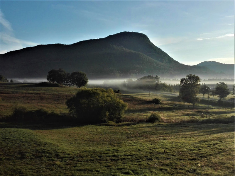 La Foresta respira (Foresta Demaniale “Feudozzo”-Castel di Sangro)