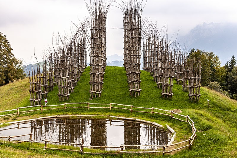 Cattedrale vegetale - Oltre il colle