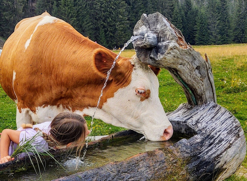 L’acqua è vita