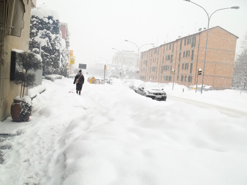 neve bologna 2012