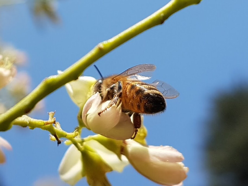 Pausa pranzo nei giardini di città_CUNEO