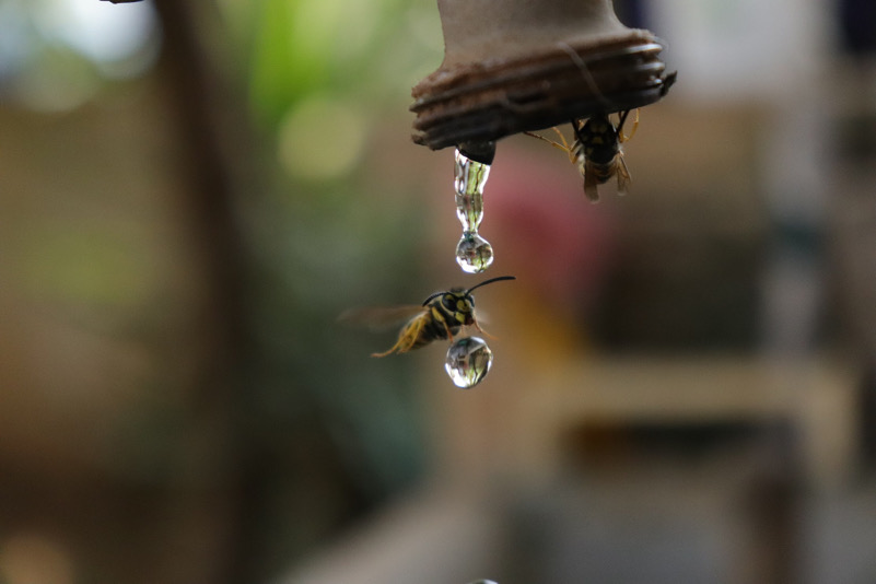 L' Acqua, bene prezioso, bene di tutti