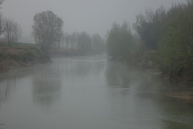 nebbia sul fiume Elsa