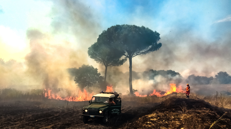 La bellezza brucia - Incendio doloso del Parco Archeologico Cellarulo in Benevento, 7/9/20