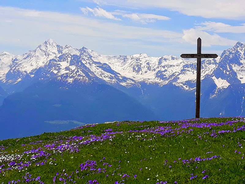 Fioritura primaverile verso il Santuario della Madonna delle Nevi Cuney - Saint Barthelemy