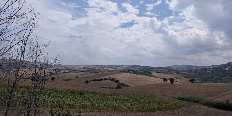 Su e giù per le colline