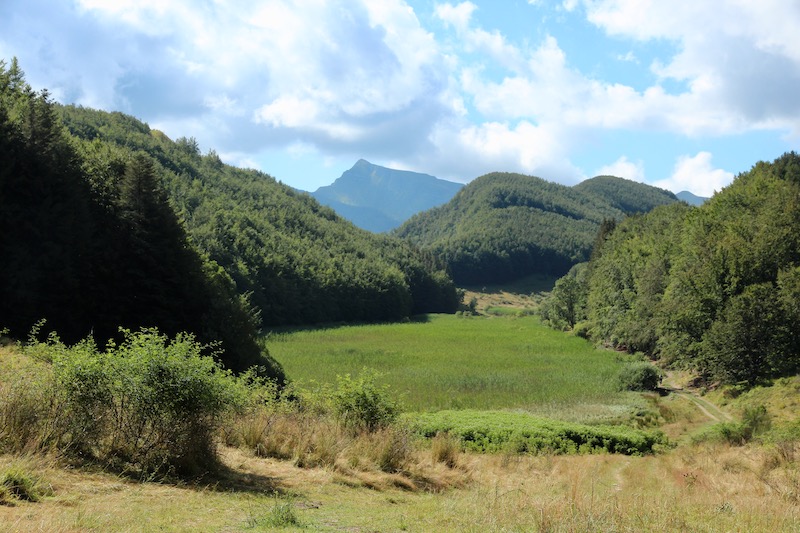 Lago Pratignano, oasi di biodiversità sull'Appennino