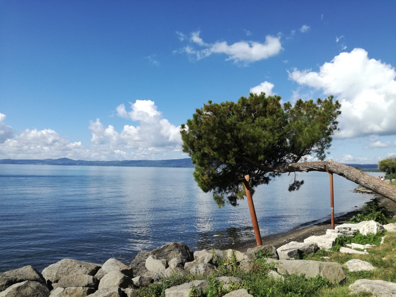 Pino Kengai sul Lago di Bolsena