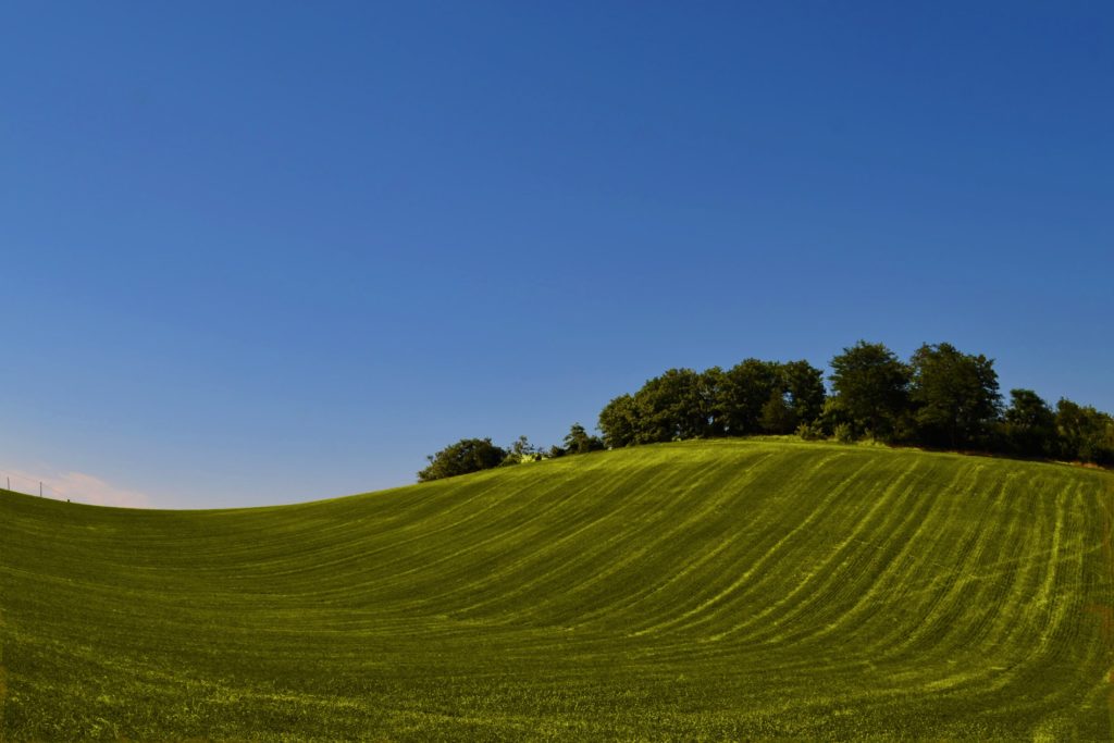 colline dolci di BOLOGNA